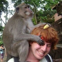 I Got Bit By A Monkey Once