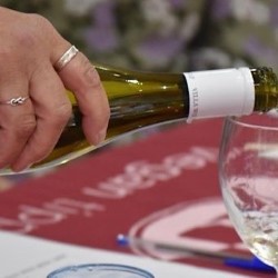 Fun-Size Wine Tasting