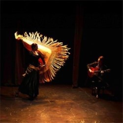 Flamencodanza