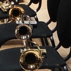 The Really Terrible Orchestra