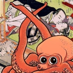 SHUNGA ALERT