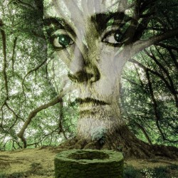Tom Hiccup's Well