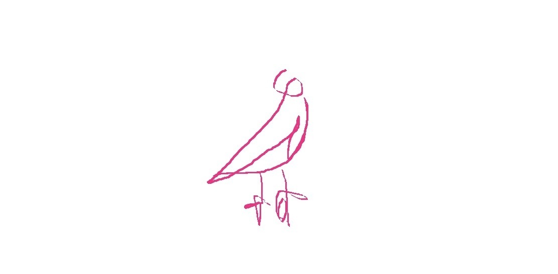 THE LOVE PIGEON