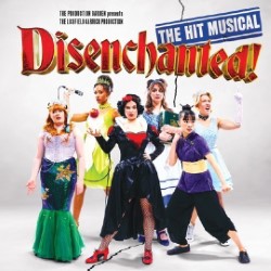 Disenchanted! The Hit Musical