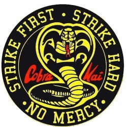 Cobra Kai: The Way of the Comic