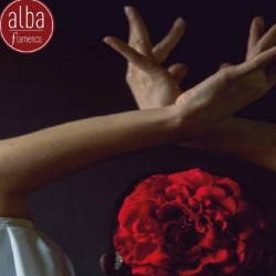 Alba Flamenca
