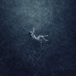 Whale Fall or Song to Dance With My Death