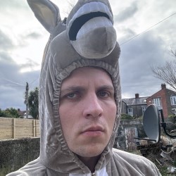 Donkey