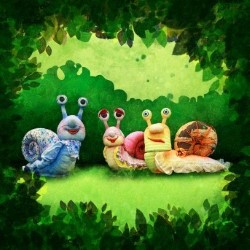 A Slow Tale