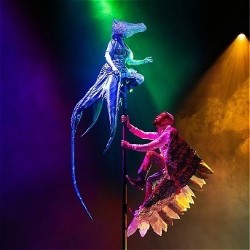 The Unlikely Friendship of Feather Boy and Tentacle Girl