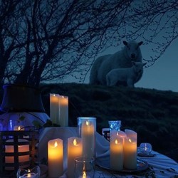 The Shepherd & The Sound: Immersive Gallery Encounter