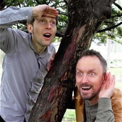 Did You Hear What I Saw?