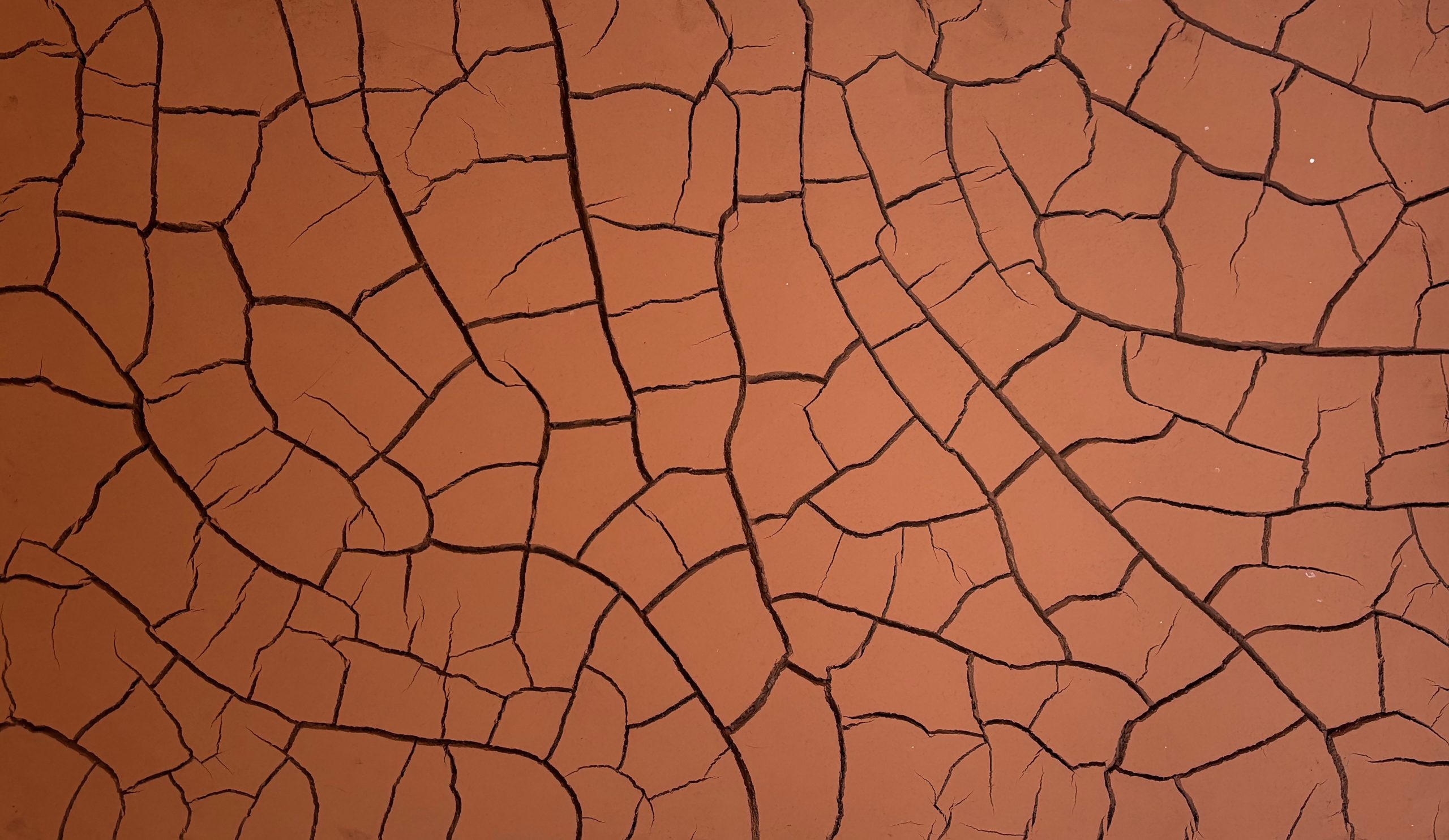 Andy Goldsworthy: Fifty Years