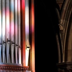 St Mary's Cathedral: Organ Recitals