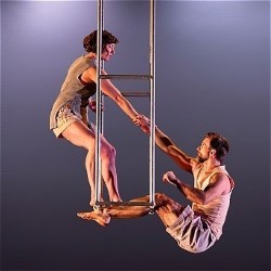 Collaborator