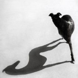 Endgame by Samuel Beckett