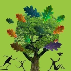 The Last Oak Tree