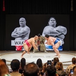 The Sumo Show HIRAKUZA