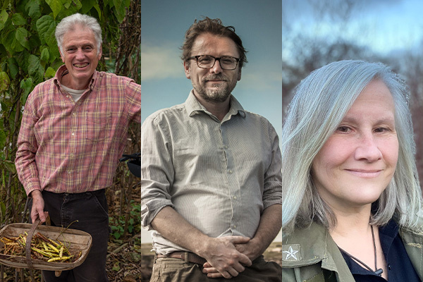 Adam Alexander, Andy Hamilton & Mo Wilde: Wild Solutions