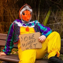 Stephen Catling: Clown Fish Out Of Water