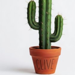 Clive