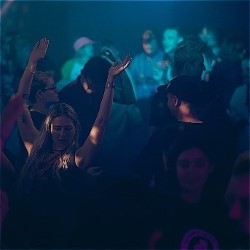 Party at the Palais