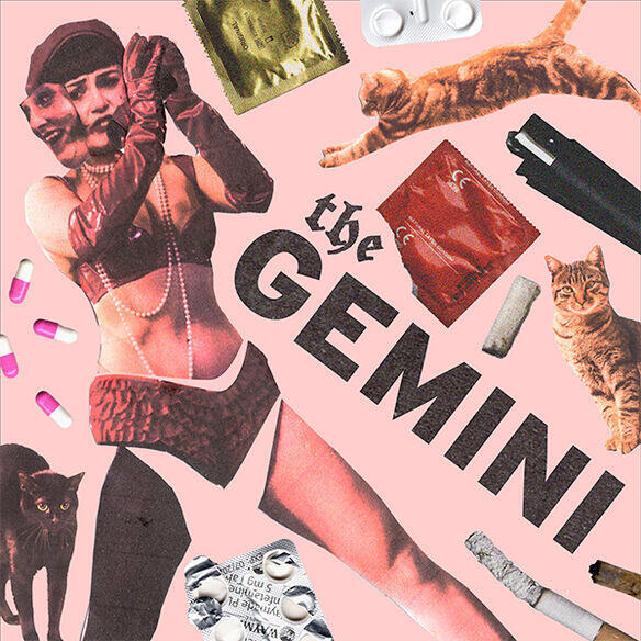 THE GEMINI