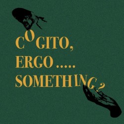 Cogito, Ergo... Something?