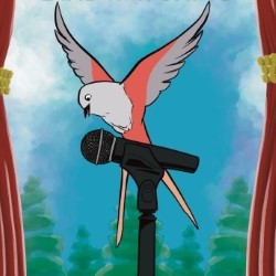 A Comedian's Guide to Birdwatching