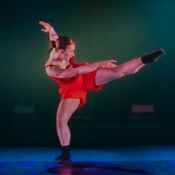 Springboard '26