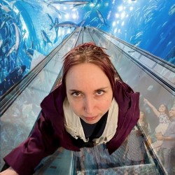 100 Million Fish in the Aquarium