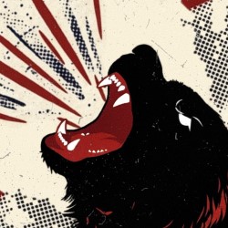 The Bear