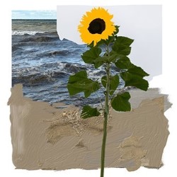 The Land Beneath Our Feet