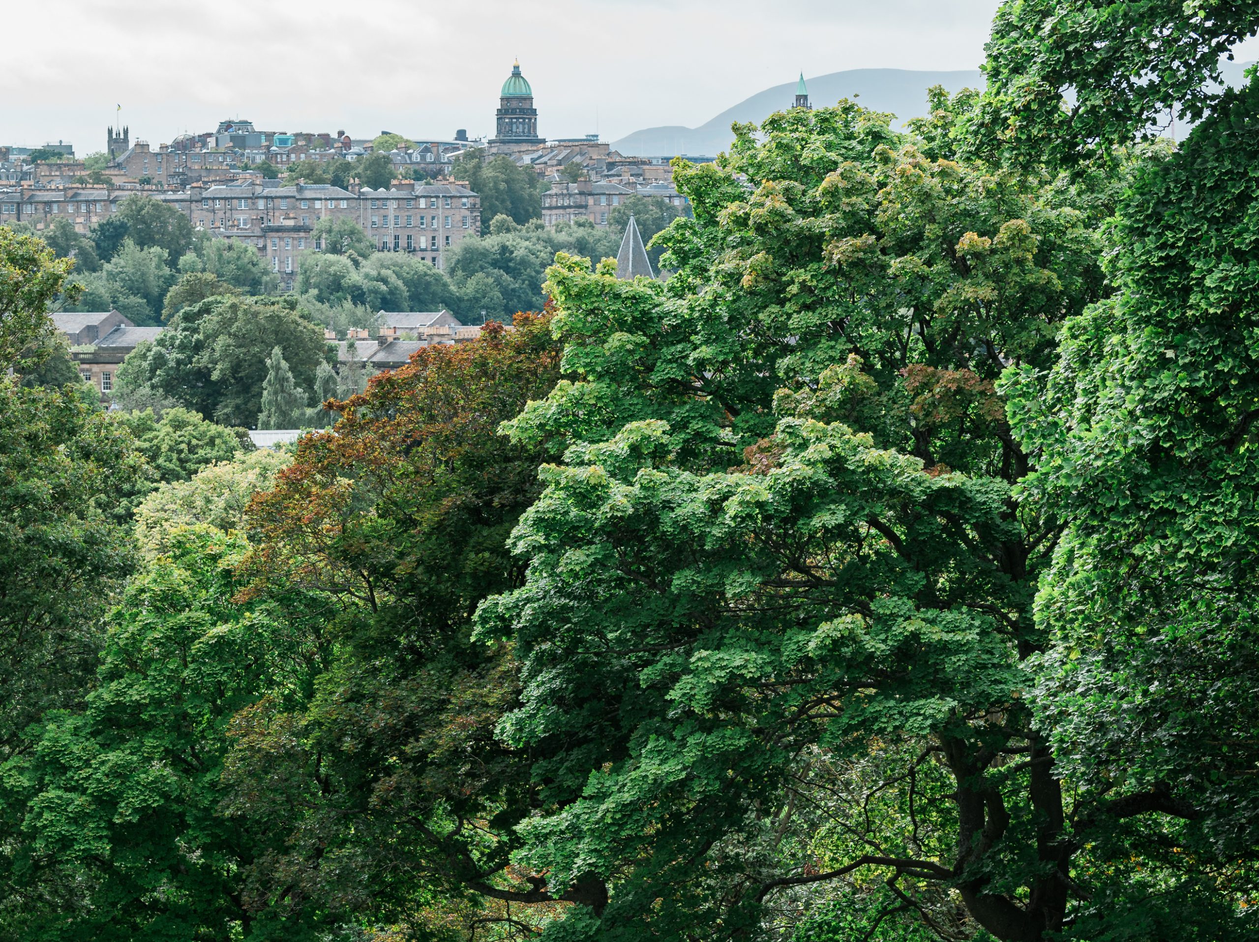 BSL Tour: Summer at the Royal Botanic Gardens