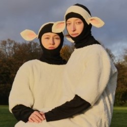 Sheepish