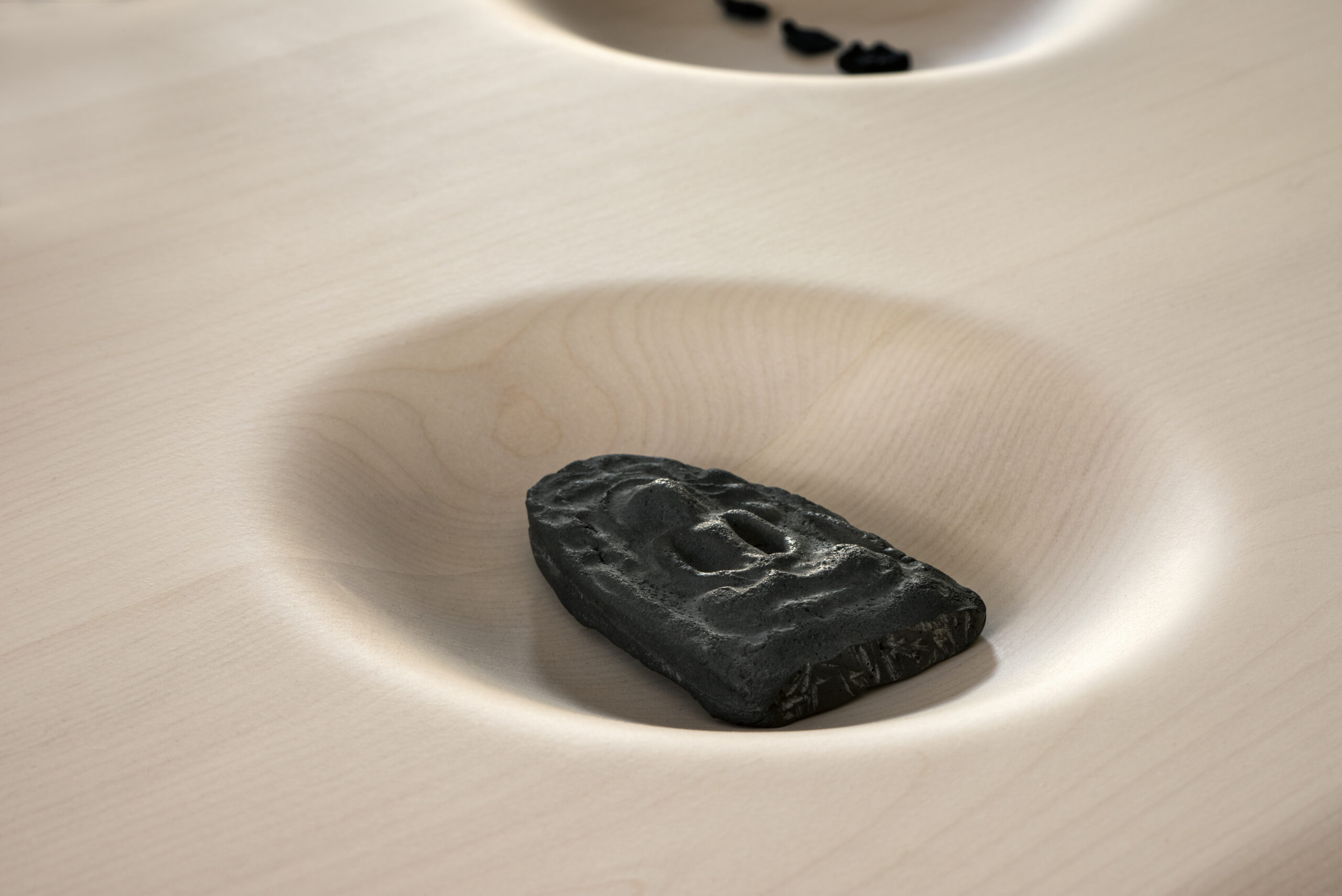 Exhibition Tour with Trudi Collier: Katie Paterson’s Afterlife