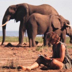 A Life Among Elephants