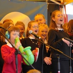 Fringe Community Stage