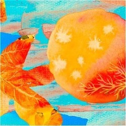 Taiwan Season: Where Has All the Fruit Gone?