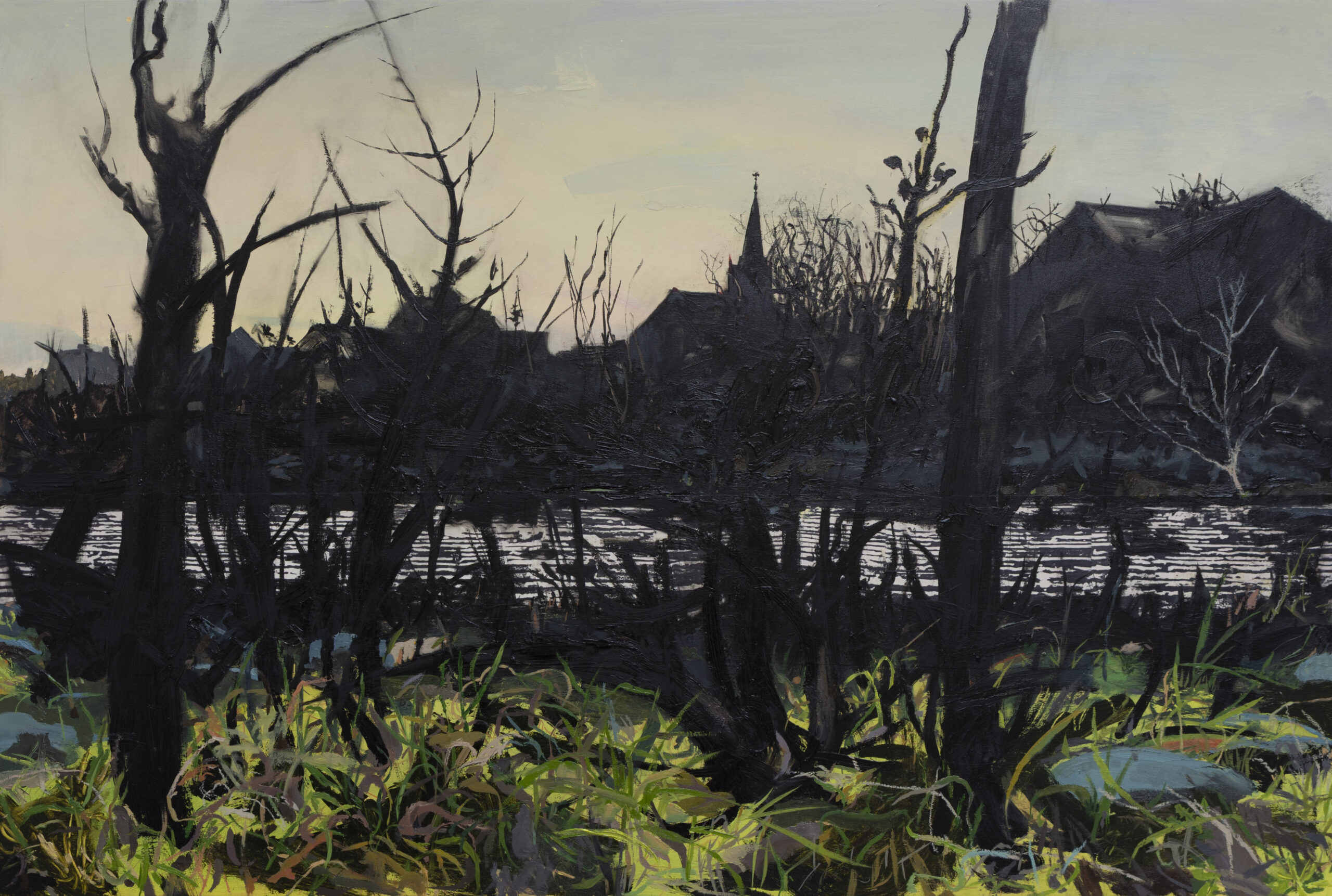 Kate Downie: Grasslands