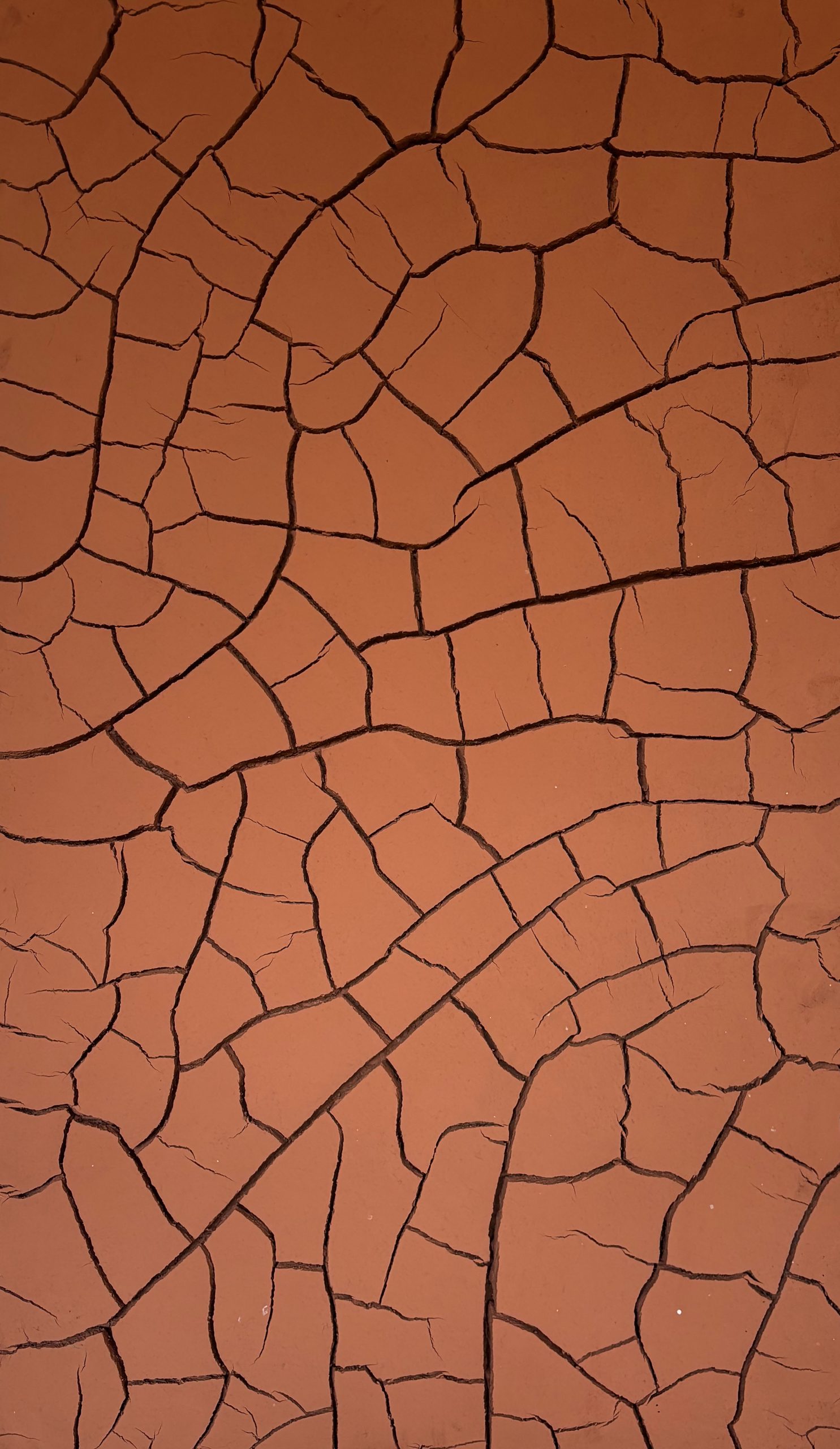 BSL Tour | Andy Goldsworthy: Fifty Years