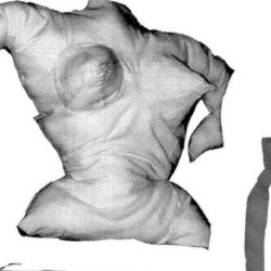 Body Parts
