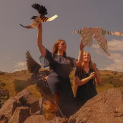 Aderyn / Bird