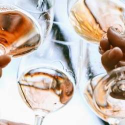 Beneath the Cork: A Wine Tasting Experience