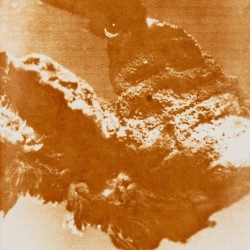 Rooting: Ecology, Extraction and Environmental Emergencies in the University’s Art Collection