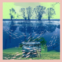 Troubled Waters