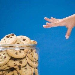 The Biscuit Tin and the Biscuit