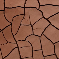 Andy Goldsworthy: Fifty Years