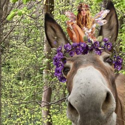 A Midsummer Night's Dream
