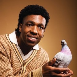 Toussaint Douglass: Accessible Pigeon Material